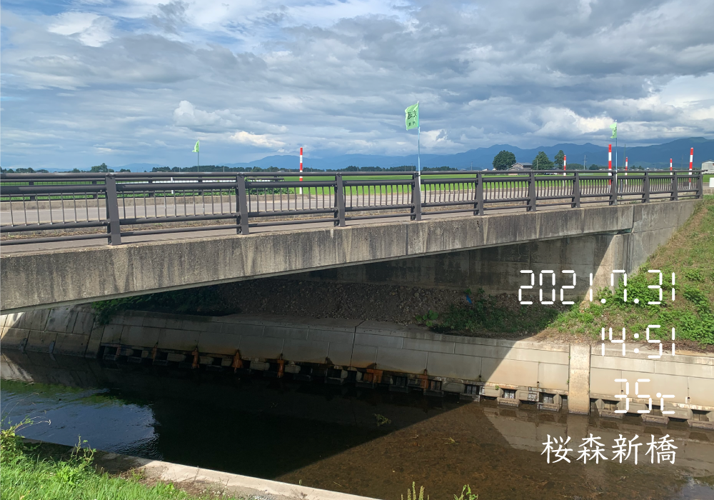 橋シリーズNo.24